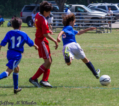 _MG_7751.jpg