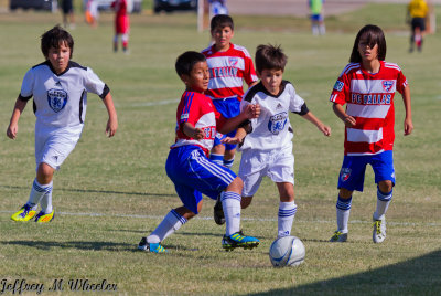 _MG_3270.jpg