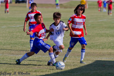 _MG_3271.jpg