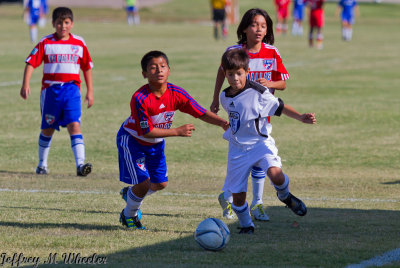 _MG_3273.jpg