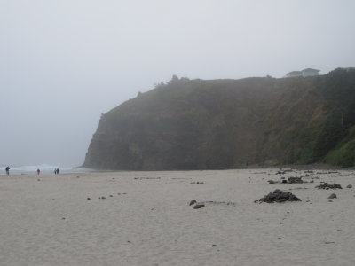 Maxwell Point in the fog