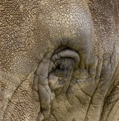 the_zoo