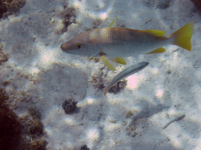 IMG_0036.JPG
