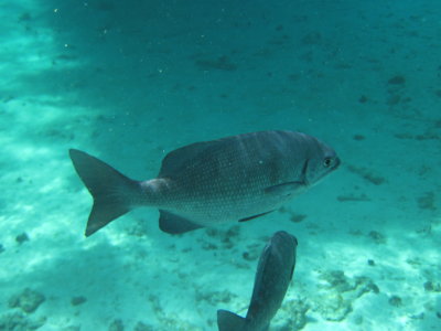 IMG_0038.JPG