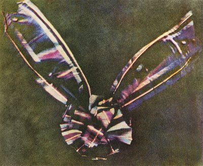 733px-Tartan_Ribbon.jpg