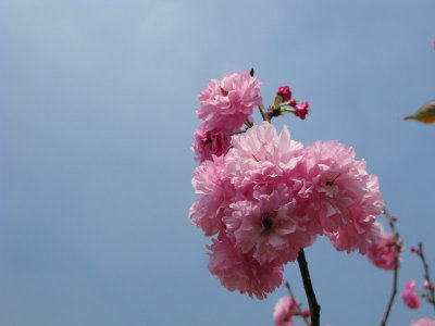 g1/13/533813/3/111137777.UxkECFcH.jpg