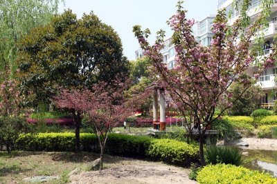 Tian An Garden