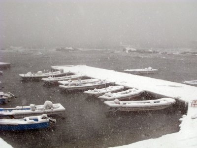 Fishing Boats