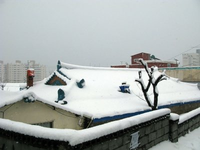 Ulsan Snow on Roof