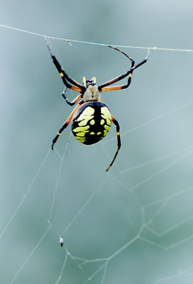 IMG_5810www.jpg