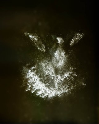 GHOST BIRDS
