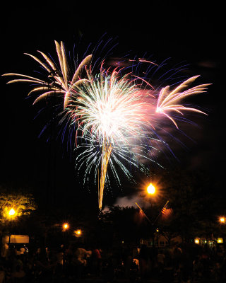 FireworkEwww.jpg