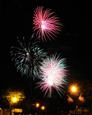 FireworkFwww.jpg