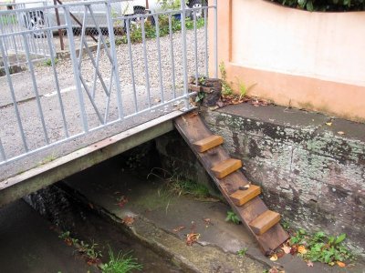 Little stream / canals along the street.  This one appears to have a ramp for animals to climb.