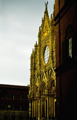 Siena 7