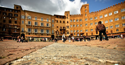 Siena 24