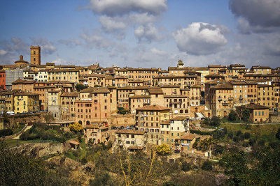 Siena 26