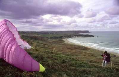 Mark-PiggottWhite-Park-Bay.jpg