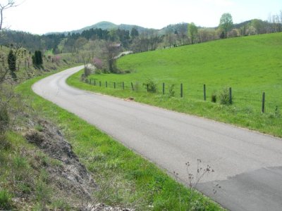 DSCN6686.JPG