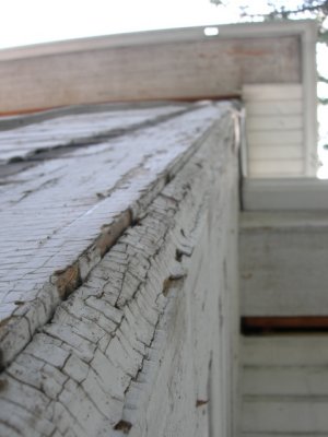 g1/13/588013/3/113501269.cKsfZrhA.jpg
