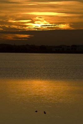 Sunrise at Staines Reservoir.JPG