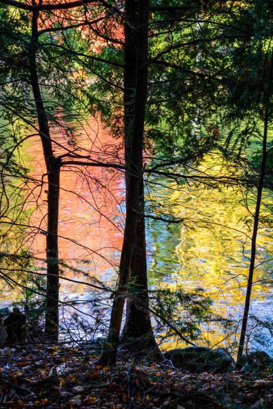 Two Horse Point-Reflections-Chandos Lake