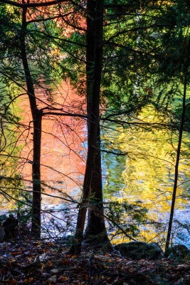 Two Horse Point-Reflections-Chandos Lake