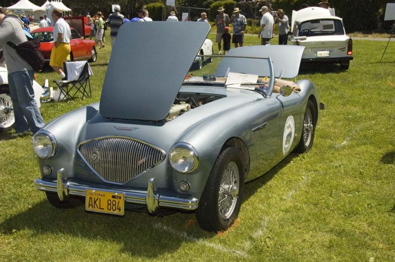 Austin Healey 100 