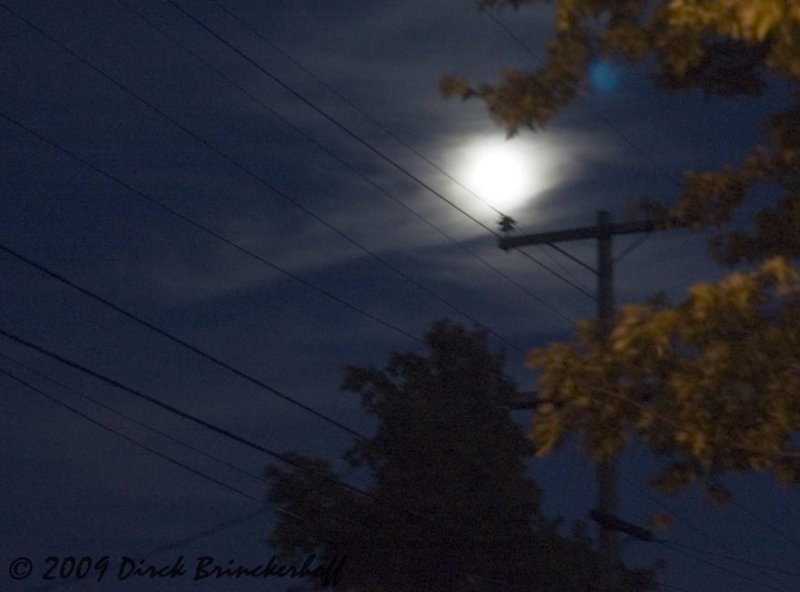 20091002 FridayNightWalk 034Moon  Wires.jpg