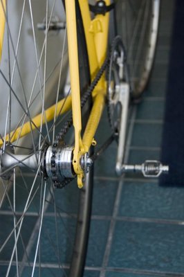 20090215 Rossin Single Speed.jpg