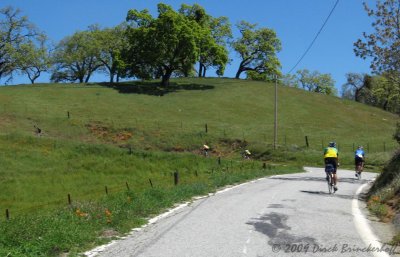 Winding Up the Hill