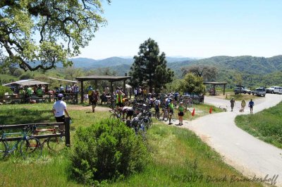 Henry Coe Park - Rest Stop At the Top