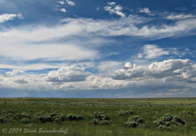 Wyoming Pasture Land