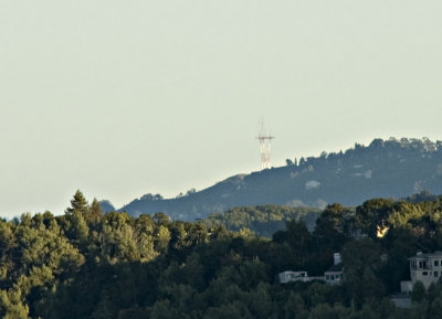 20090804 Insect 012.jpg (Sutro Tower, San Francisco, as seen from San Rafael)