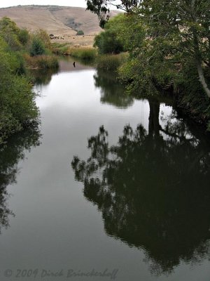 Lagunitas Creek at Highway 1