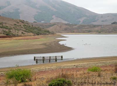 Old Bridge normally below the surface of Nicasio Reservoir