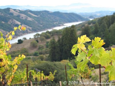 View From Rockpile Road - 2  (Lake Sonoma below)