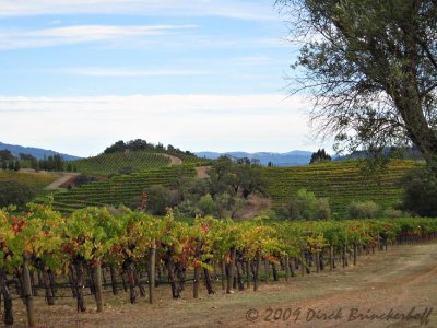 asti_tour_de_vine
