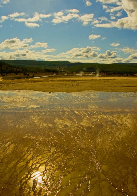 Reflections - 4