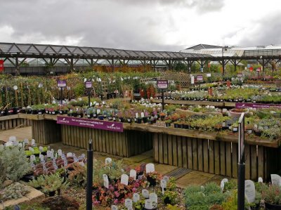 Flower Shop