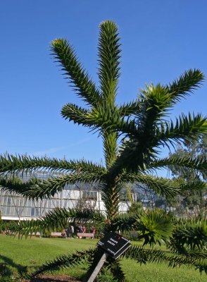 Royal Gardens - 02