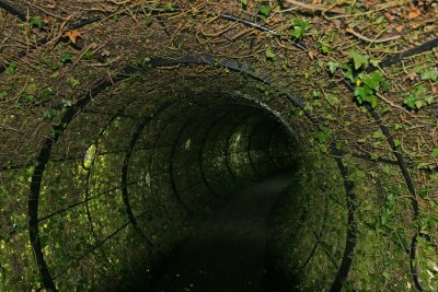 Creepy Tunnel