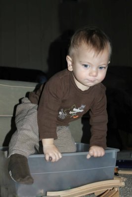 In the Box