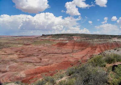 Painted desert 1 tw.jpg