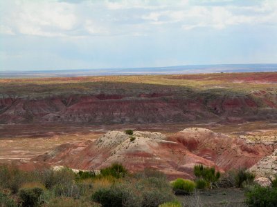 Painted desert 10 tw.jpg