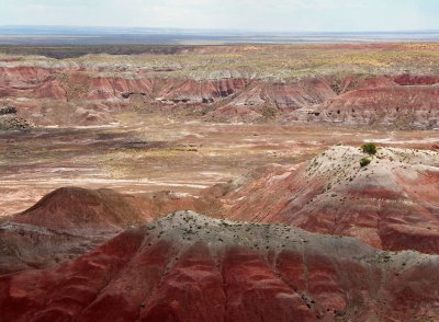 Painted desert 7 tw.jpg