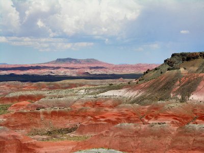 Painted desert tw.jpg