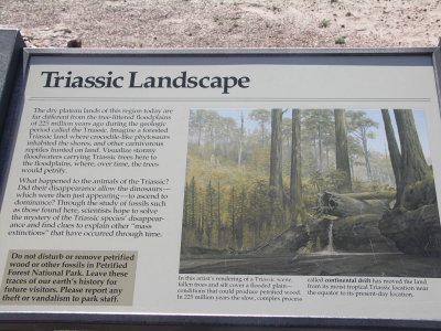 Petrified forest information tw.jpg