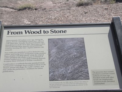 petrified wood information tw.jpg