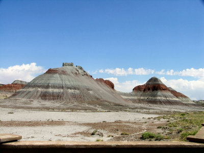 Petrified Forest and Painted Desert in Arizona